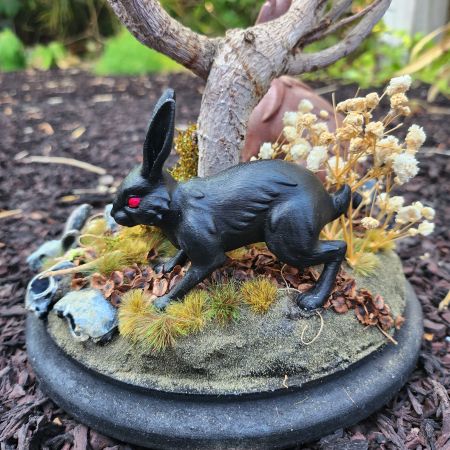 20260729_183245.jpg