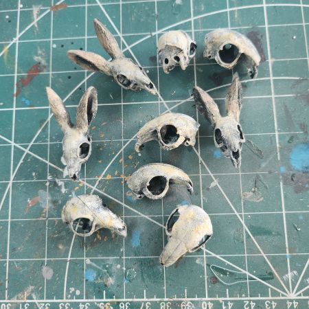 rabbit skulls.jpg
